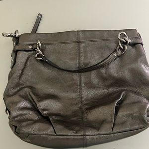 Metallic purse